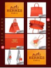 HERMES BIRKIN 35 (Pre-owned) - Capucine / Capucine orange, Togo leather, Ghw